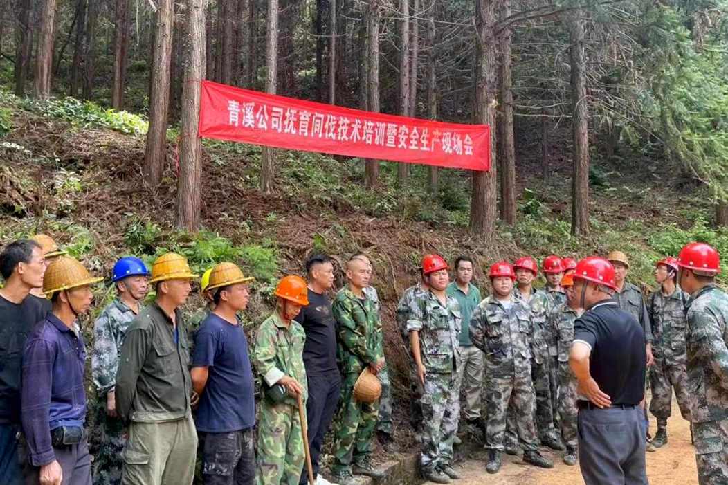 加強森林撫育示范管理，促進森林質(zhì)量精準提升