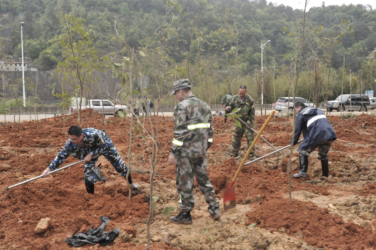 陽春三月雨，正是植樹好時節(jié)