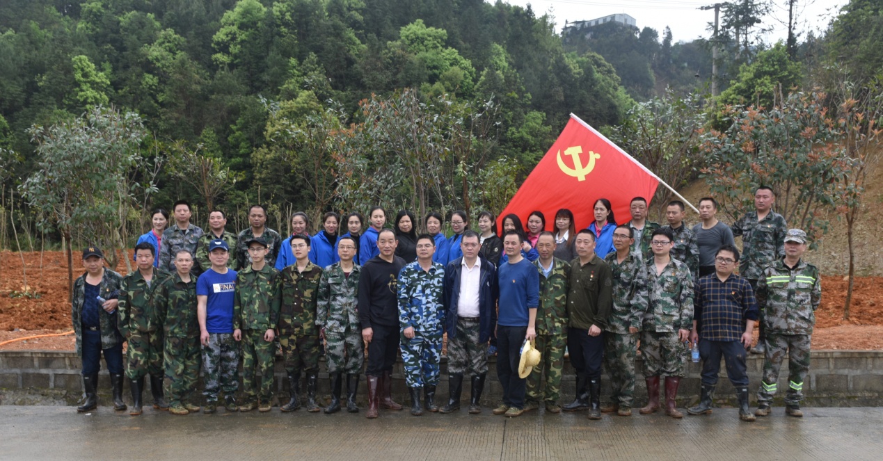 陽春三月雨，正是植樹好時節(jié)