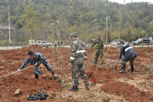 陽(yáng)春三月雨，正是植樹好時(shí)節(jié)