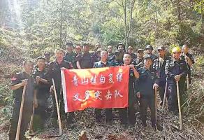 干好每一天|青山掛白我復(fù)綠，無私奉獻金森人——資源保護部義務(wù)突擊隊工作記實