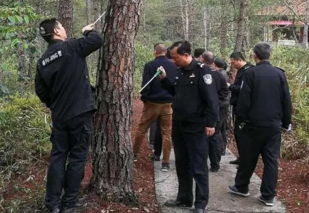 金森公司開(kāi)展森林病蟲(chóng)害防治培訓(xùn) 金森公司開(kāi)展森林病蟲(chóng)害防治培訓(xùn)