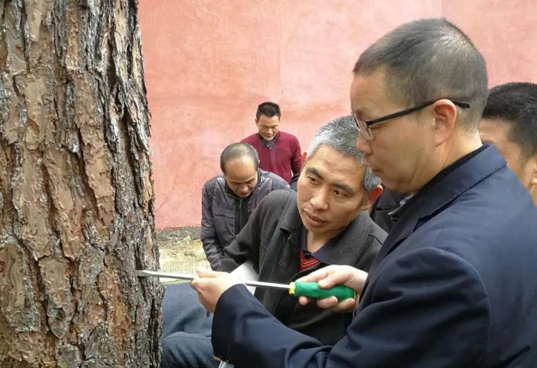 金森公司開(kāi)展森林病蟲(chóng)害防治培訓(xùn) 金森公司開(kāi)展森林病蟲(chóng)害防治培訓(xùn)