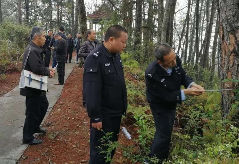 金森公司開(kāi)展森林病蟲(chóng)害防治培訓(xùn) 金森公司開(kāi)展森林病蟲(chóng)害防治培訓(xùn)