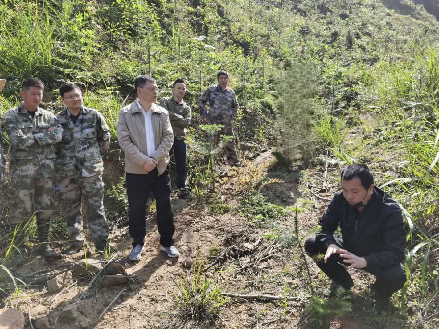 福建金森召開幼林撫育現(xiàn)場會(huì) 福建金森召開幼林撫育現(xiàn)場會(huì)