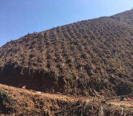 1612922590438785.png image.png