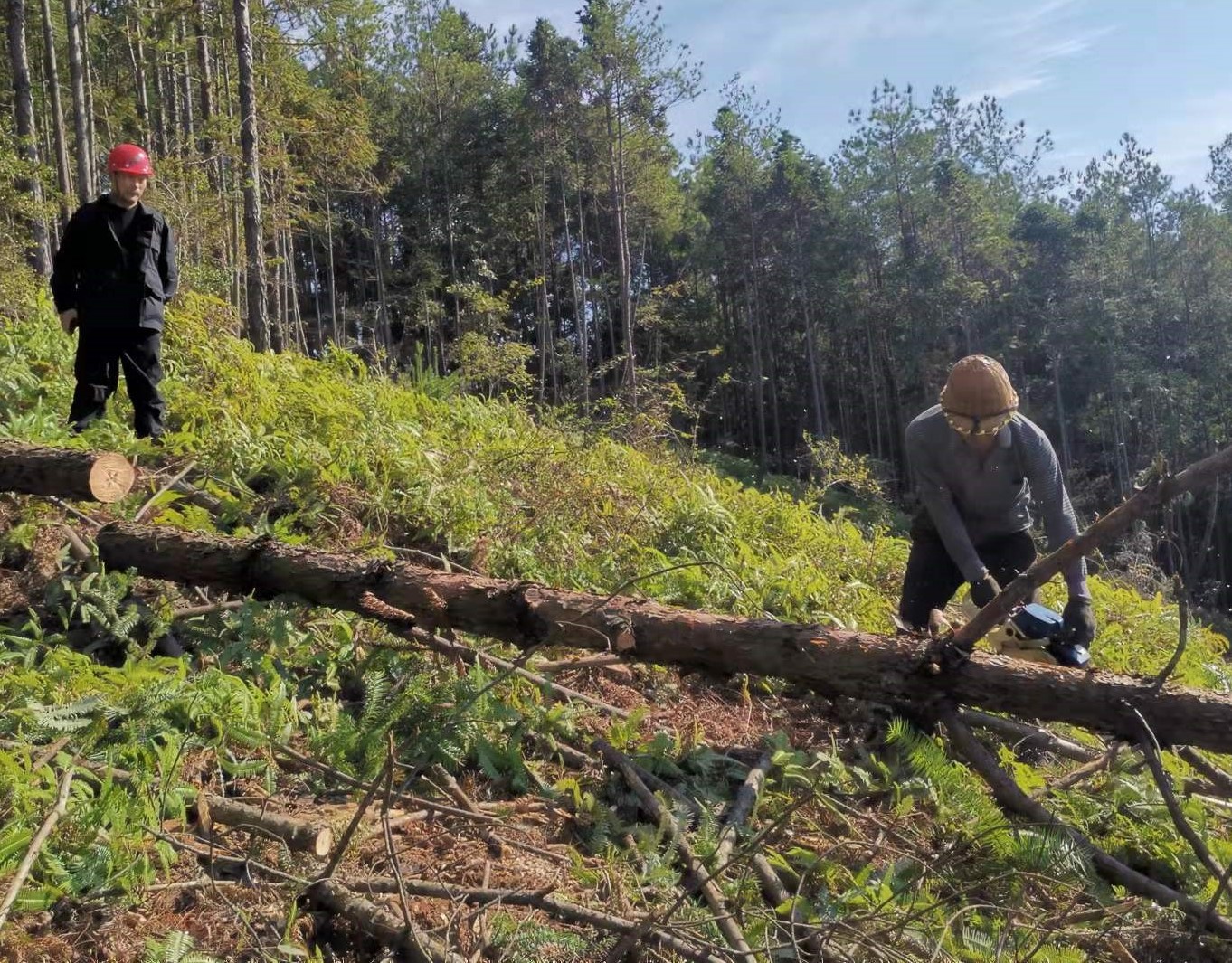 筑牢安全防線，守護(hù)一方平安 ——將溪分公司安全生產(chǎn)工作紀(jì)實(shí)