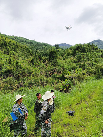 嚴(yán)把森林培育質(zhì)量關(guān)，譜寫(xiě)資源培育新篇章