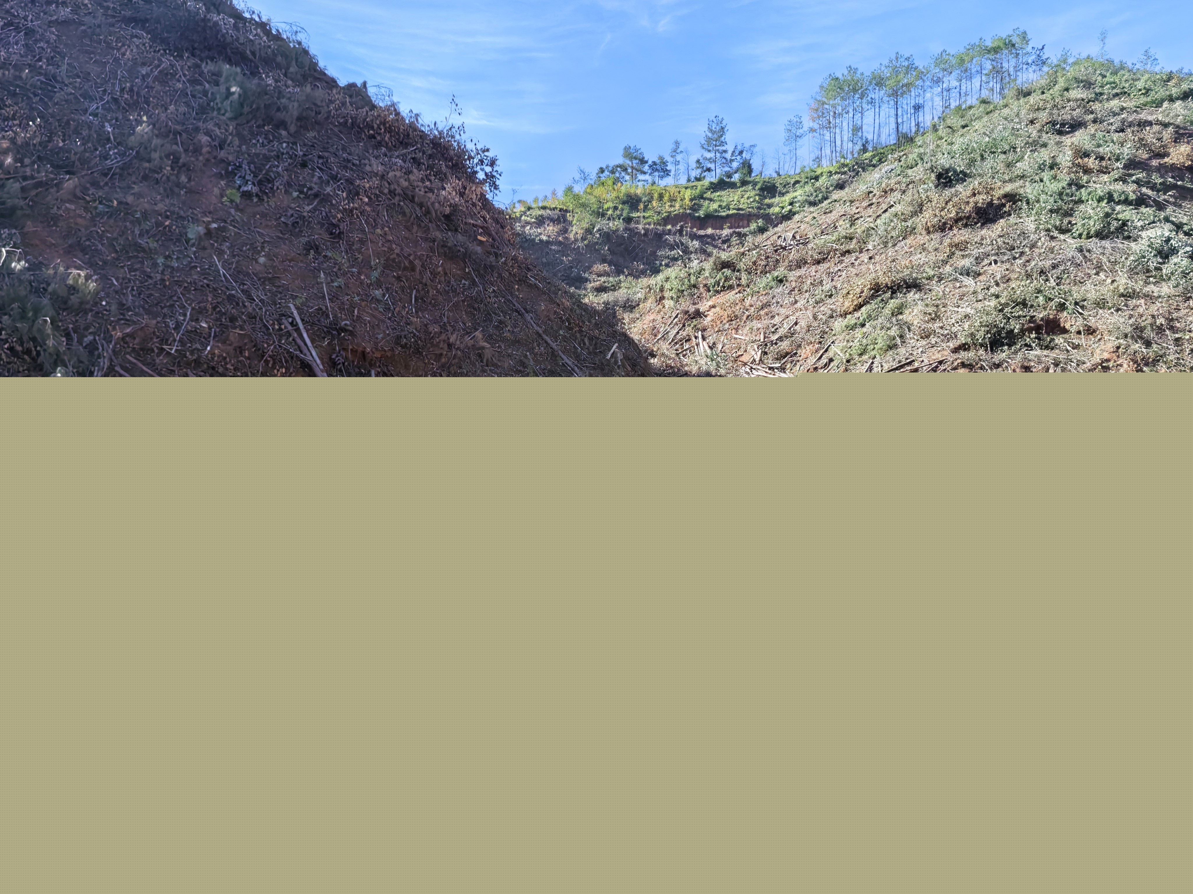 平安常青，我們在行動——常青分公司開展安全生產(chǎn)日活動