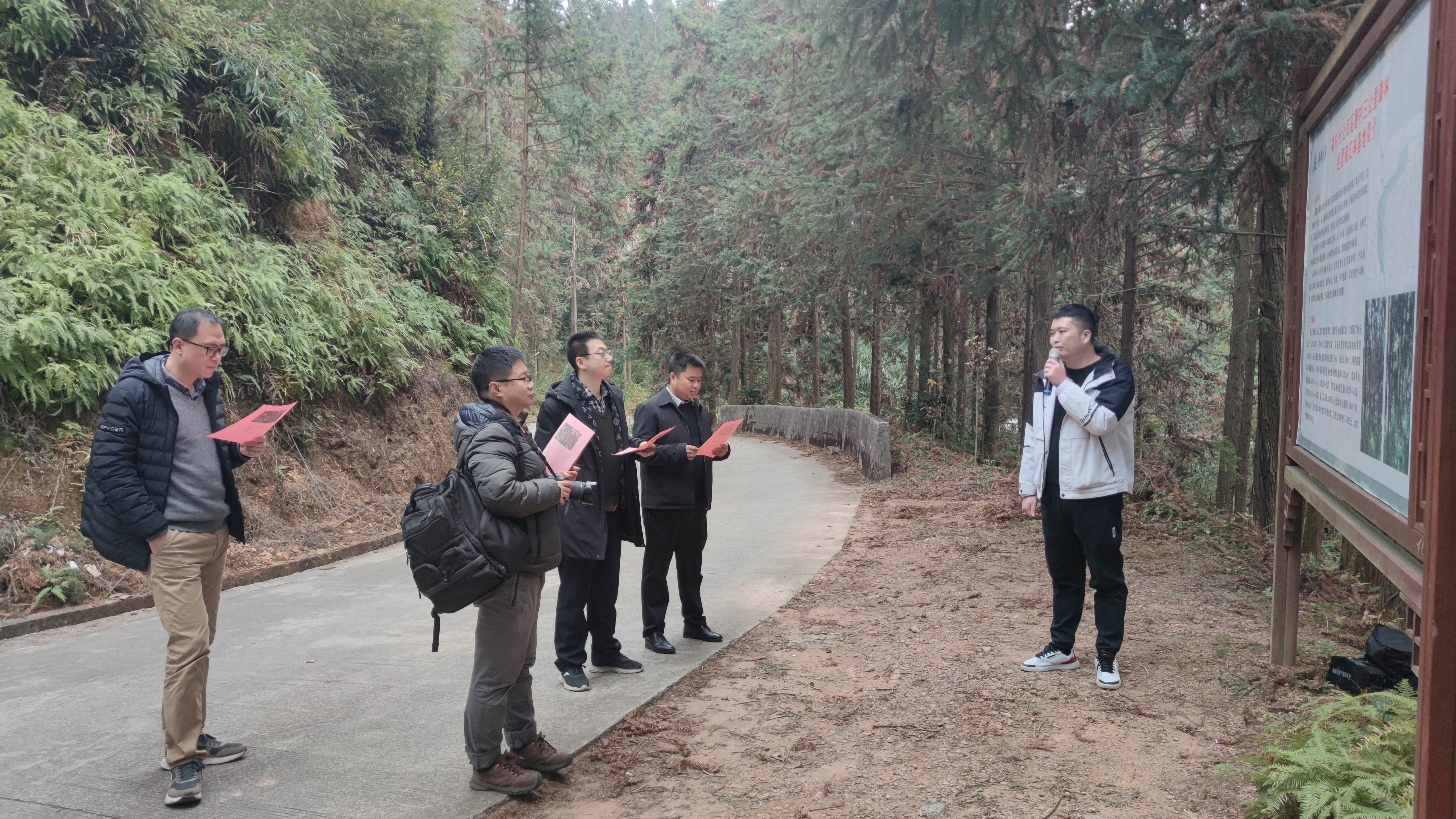 福建金森與上海園林集團——強強交流促合作，共繪林改新藍(lán)圖