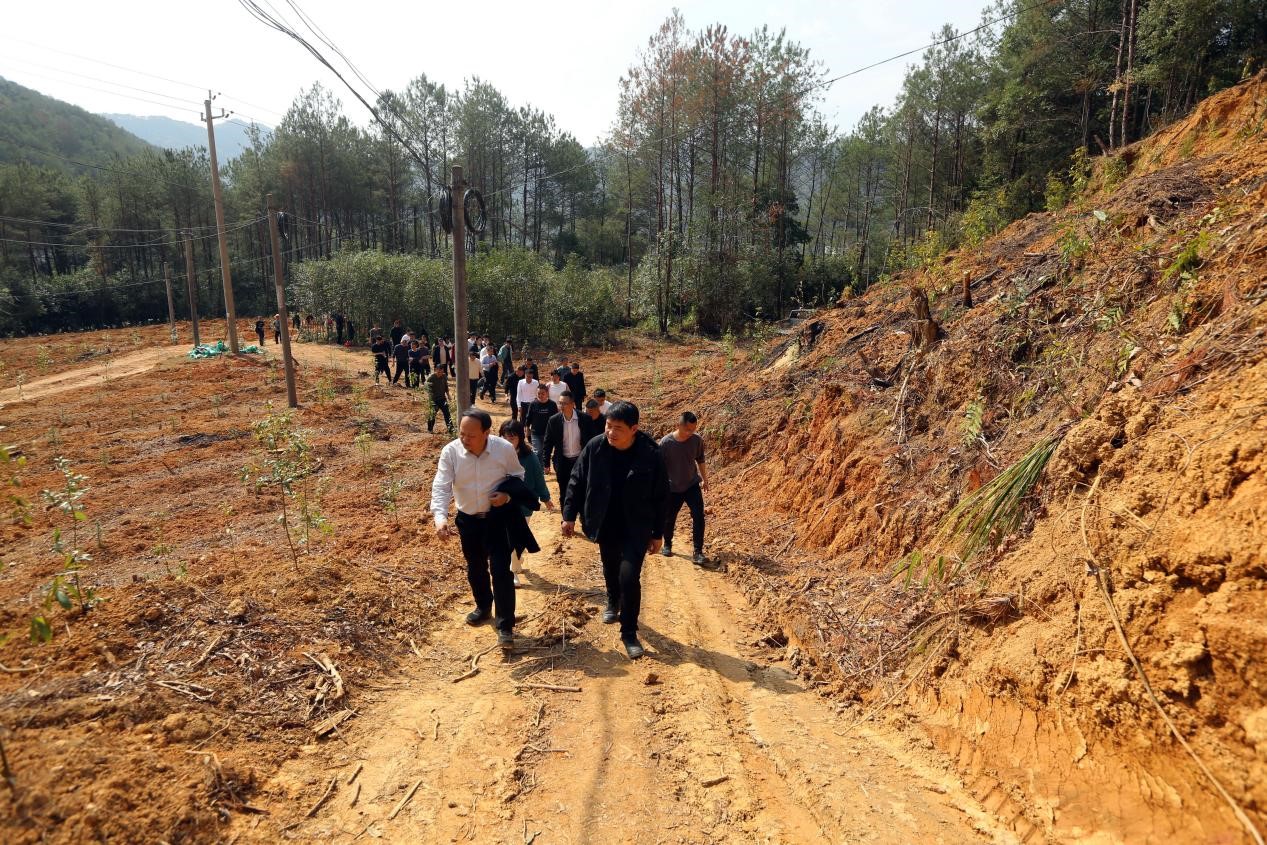 不負(fù)春光好，搶播萬畝林 ——將樂縣村企合作造林工作現(xiàn)場(chǎng)會(huì)在福建金森召開