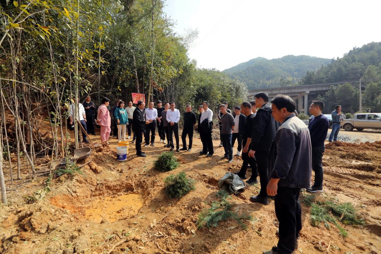 不負(fù)春光好，搶播萬畝林 ——將樂縣村企合作造林工作現(xiàn)場(chǎng)會(huì)在福建金森召開